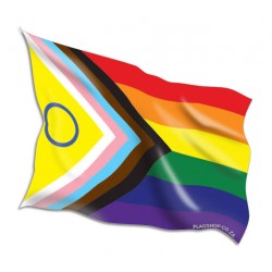 Buy latest Progressive Pride Flags Online • Flag Shop
