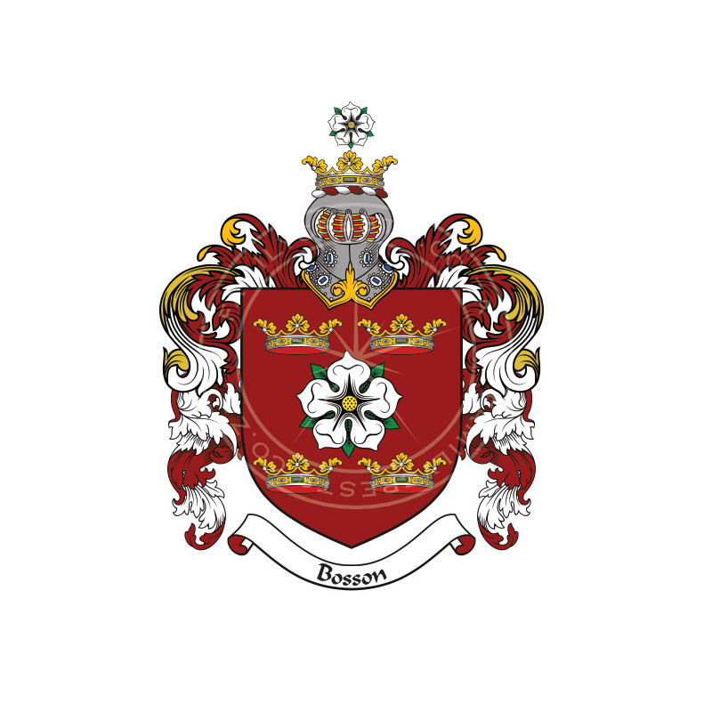 Buy the Basson Family Coat of Arms Digital Download • Flag Shop