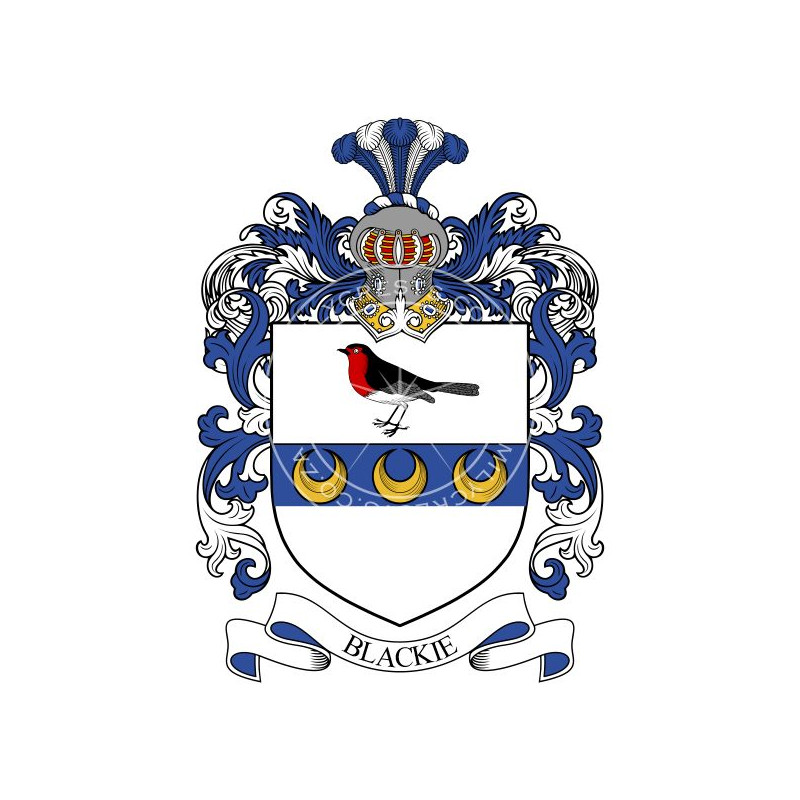 Buy the Blackie Family Coat of Arms Digital Download • Flag Shop