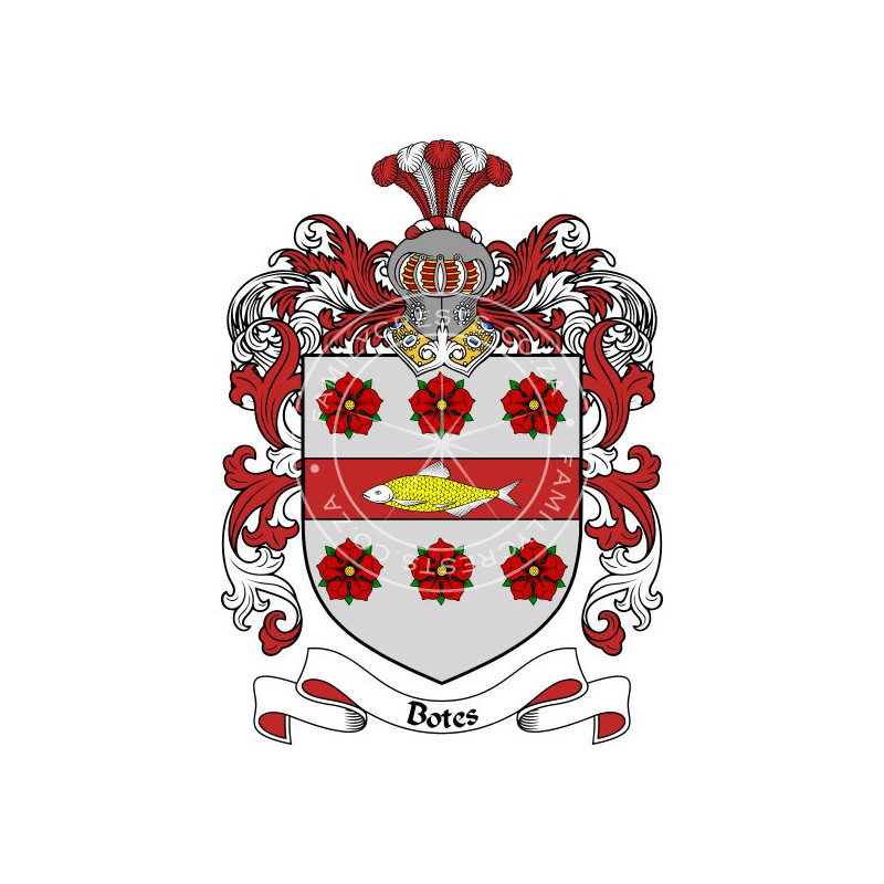 Buy the Botes Family Coat of Arms Digital Download • Flag Shop