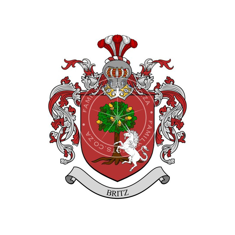 Buy the Britz Family Coat of Arms Digital Download • Flag Shop