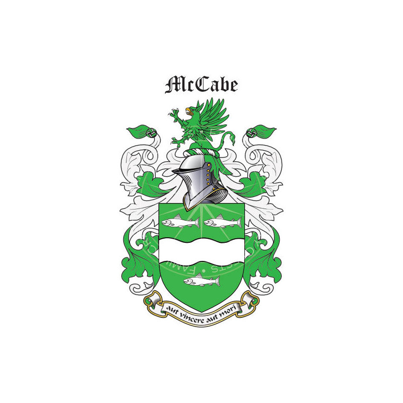 Buy the McCabe Family Coat of Arms Digital Download • Flag Shop