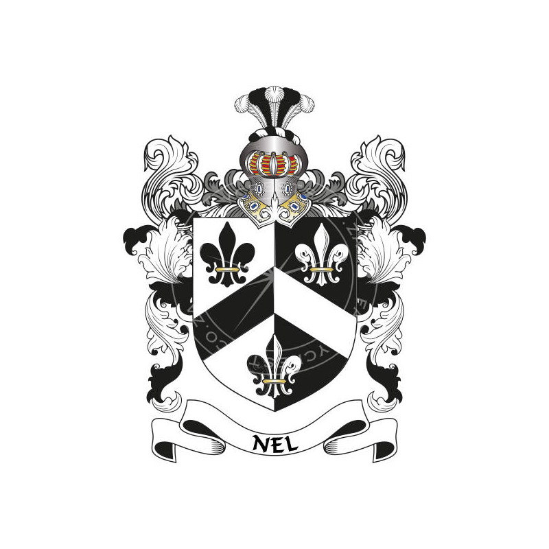 Buy the Nel Family Coat of Arms Digital Download • Flag Shop