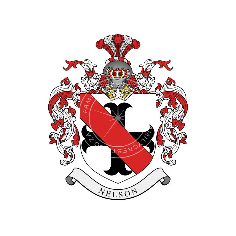 Buy the Nelson Family Coat of Arms Digital Download • Flag Shop