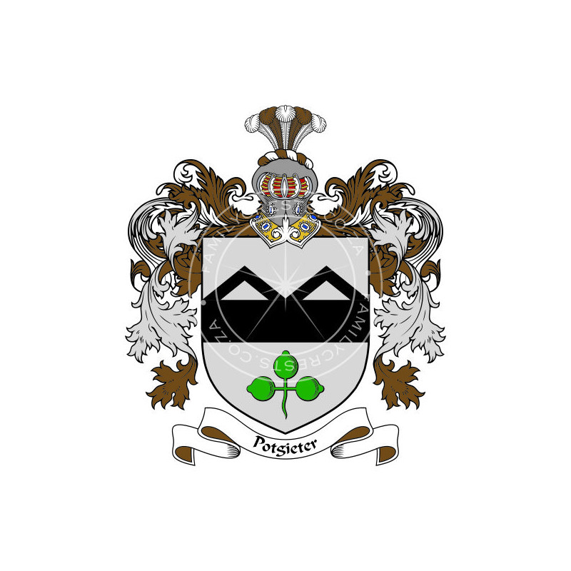 Buy the Potgieter Family Coat of Arms Digital Download • Flag Shop