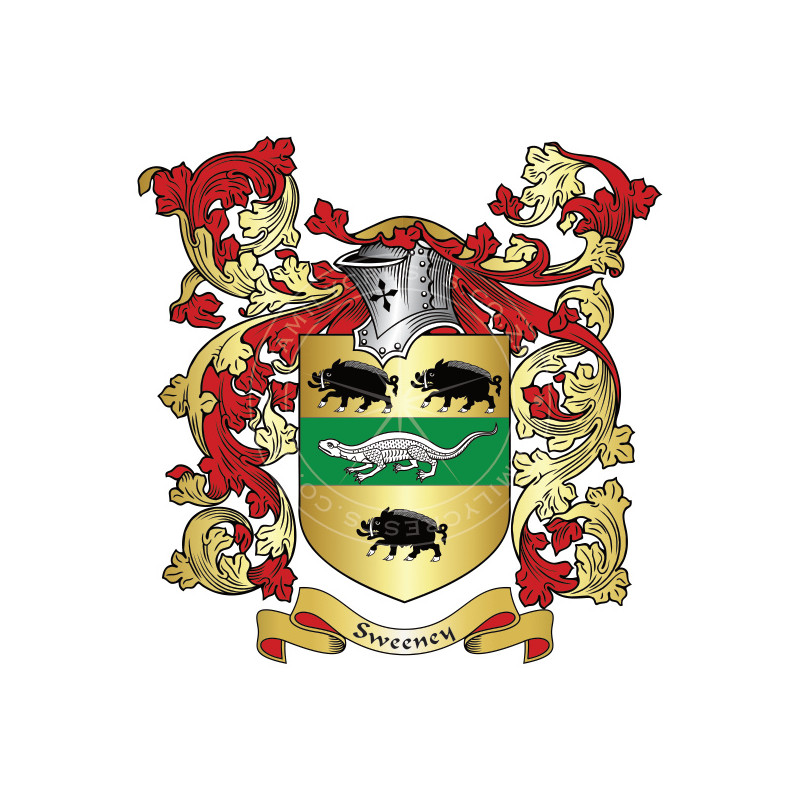 Buy the Sweeney Family Coat of Arms Digital Download • Flag Shop