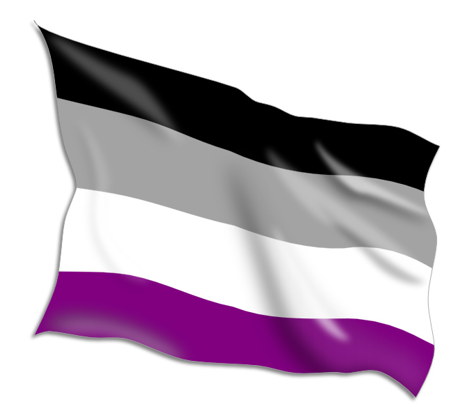Buy Asexual Pride Flags Online • Flag Shop • South Africa