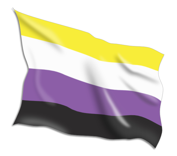 Buy Non-Binary Pride Flags Online • Flag Shop • South Africa