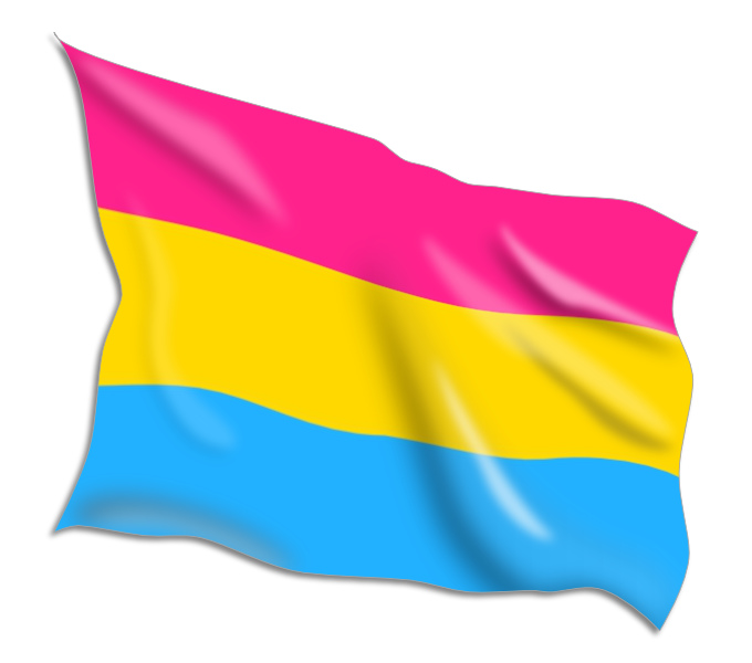 Buy Pansexual Pride Flags Online • Flag Shop • South Africa