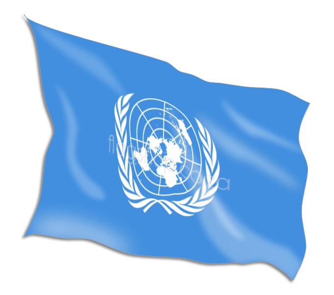 Buy United Nations Flags Online • Flag Shop • South Africa