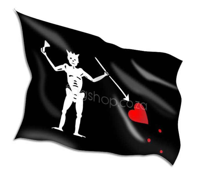 Printed on 100% Polyester Bunting Buy Asexual Pride Flags Online • Flag Shop • South Africa