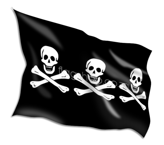 Printed on 100% Polyester Bunting Buy Gay Pride Flags Online • Flag Shop • South Africa