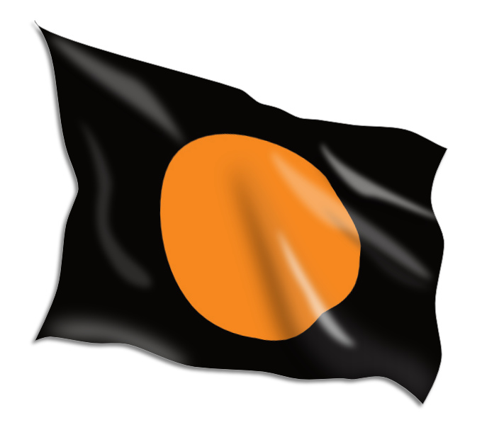 Buy Asexual Pride Flags Online • Flag Shop • South Africa