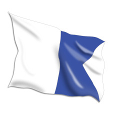 Alfa Code Flags