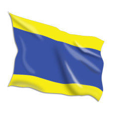 Delta Code Flags