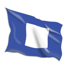 Papa Code Flags