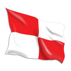 Uniform Code Flags