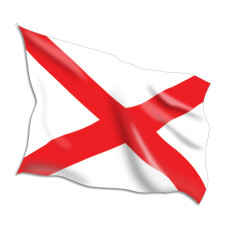 Victor Code Flags
