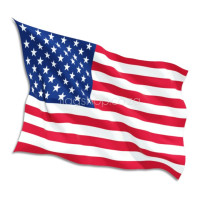 United States of America Flags