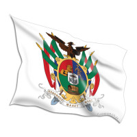 Transvaal Coat of Arms Flags
