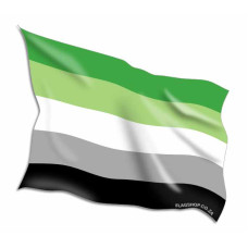 Aromantic Flags