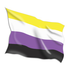 Non-binary Flags