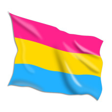 Pansexual Flags
