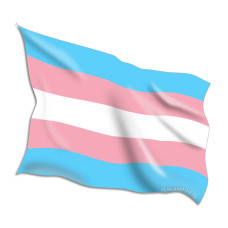 Transgender Flags