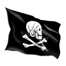 Henry Every Pirate Flags