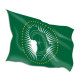 Organization Flags Organization Flags