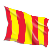 Slippery Surface Racing Flags