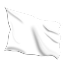 White Racing Flags White Racing Flags